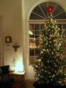The Christmas tree!